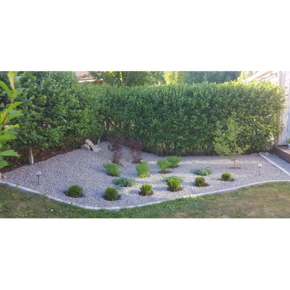Rajauskivi Garden harmaa*AKO New