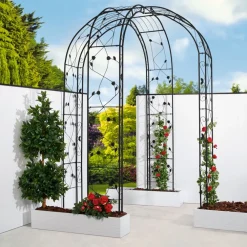Ruusukaari musta*Hortus Online