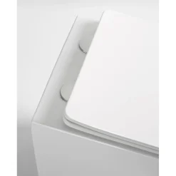 Seinä-WC-istuin Pacho Rimless, soft-close -kannella, eri värejä*Interia Clearance