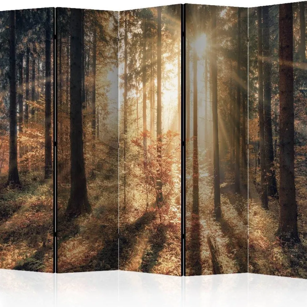 Sermi Autumnal Forest 225x172cm*Artgeist New