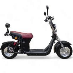 Sähköskootteri Evo2, 1000W, eri värejä*E-go Online