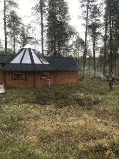 Siirtovarvikko*Kuntta New