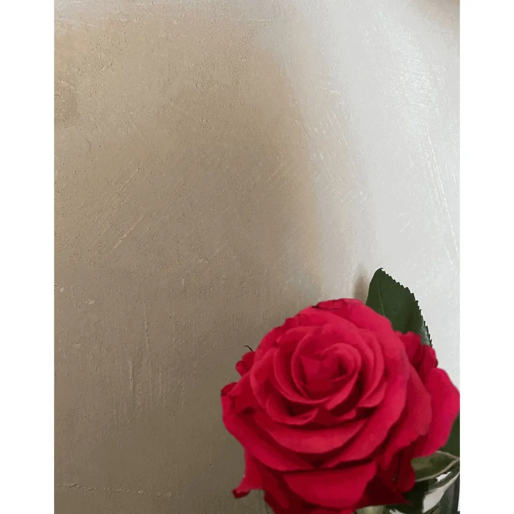 Clearance Sisustuslaasti Stucco märkätilaan eri värejä Mikrosementit