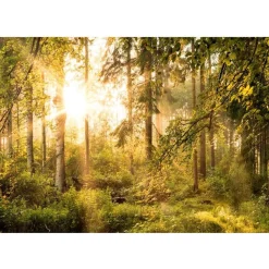 Hot Sisustustarra Mystic of the Morning eri kokoja Sisustustarrat