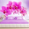 Discount Sisustustarra Thoughtfulness eri kokoja Sisustustarrat