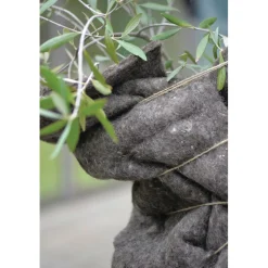 Talvisuojavilla kasveille , 150x50cm*Nelson Garden Outlet