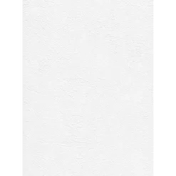 Tasoitetapetti Patent Decor Express 2212, 0,75x 25m, yksivärinen, valkoinen*Tapetit.fi Best