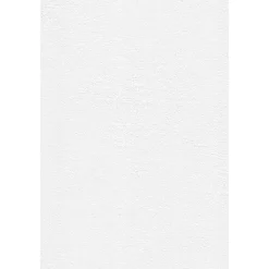 Sale Tasoitetapetti Patent Decor Express 2214, 0,75x 25m, yksivärinen, valkoinen Tasoitetapetit