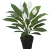Hot Tekokasvi SPATHE, K60 cm, musta ruukku, vihreä Tekokasvit Ja Kranssit