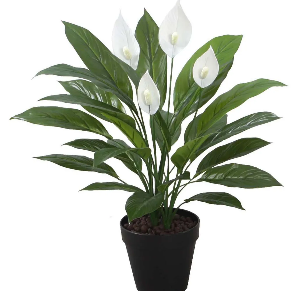 Hot Tekokasvi SPATHE, K60 cm, musta ruukku, vihreä Tekokasvit Ja Kranssit