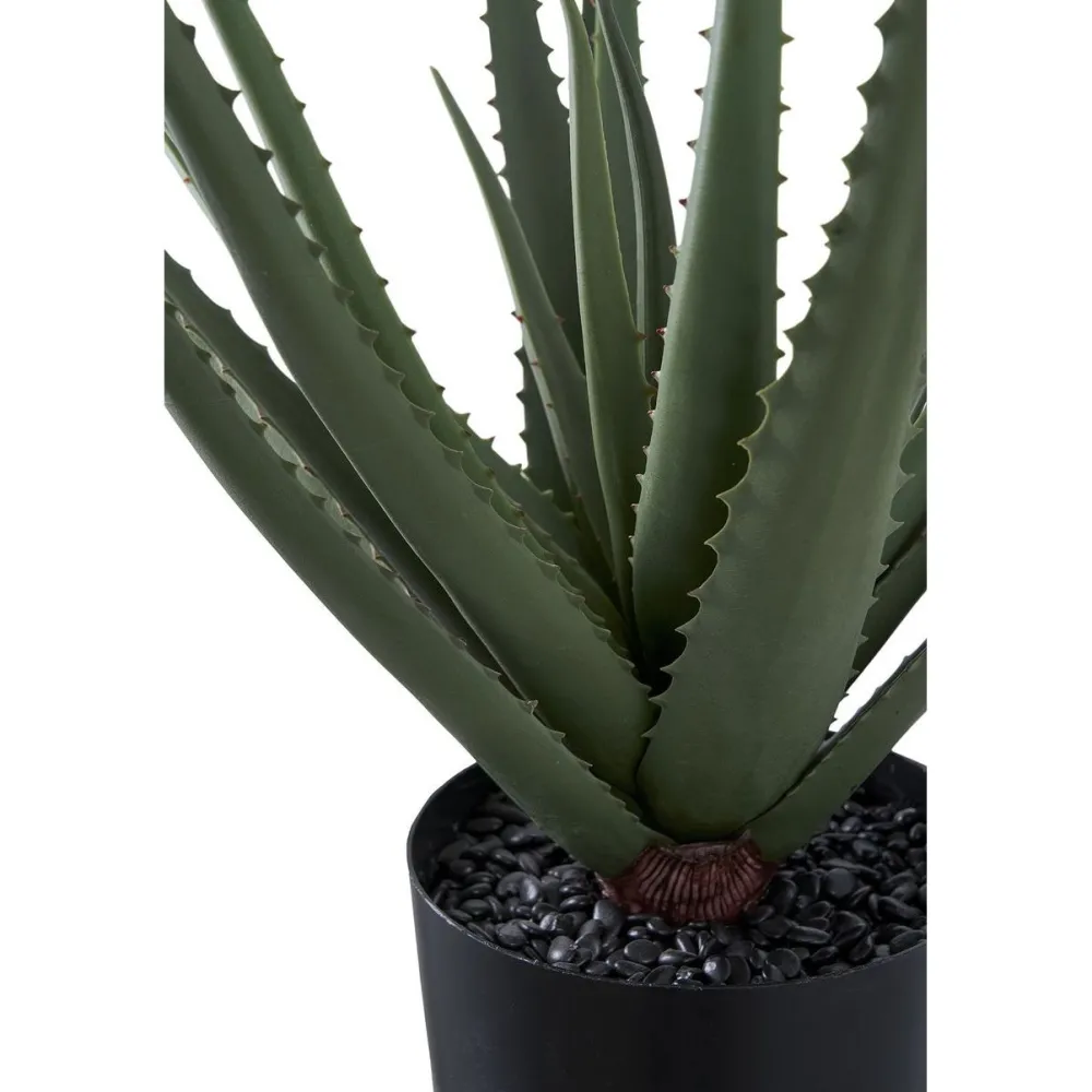 Tekokasvi Aloe Vera, 51cm, vihreä*House Nordic
