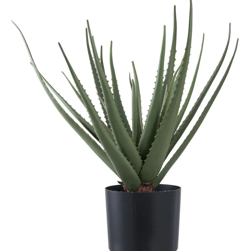 Tekokasvi Aloe Vera, 51cm, vihreä*House Nordic