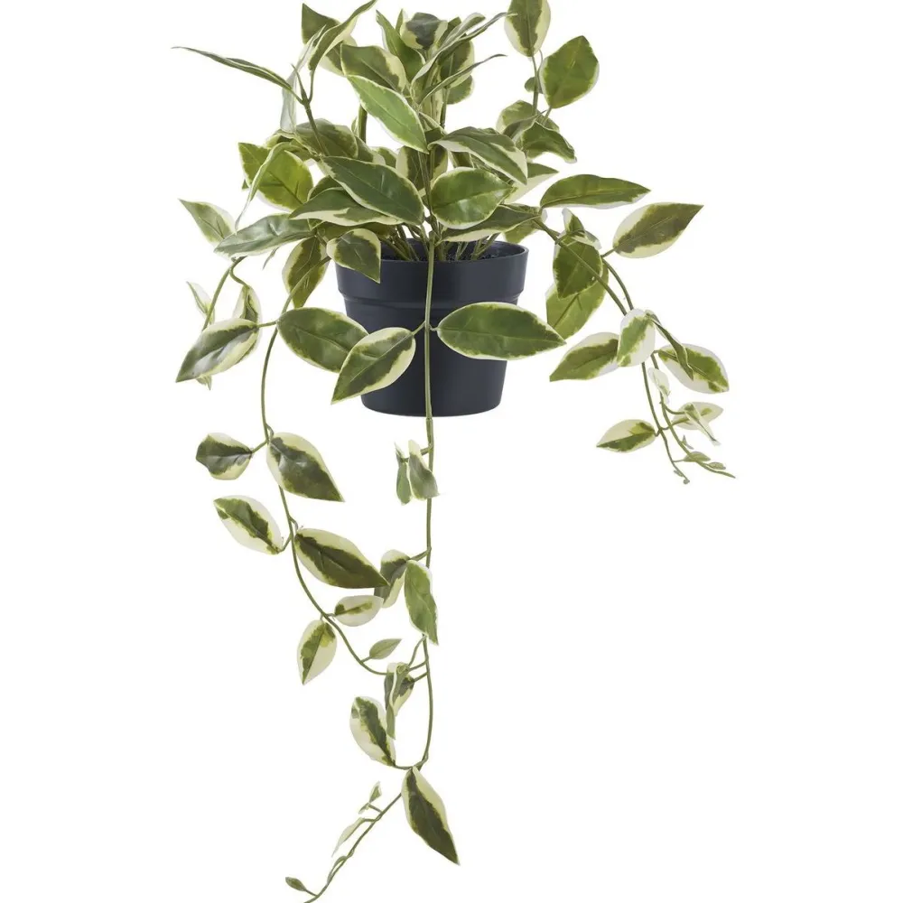 Discount Tekokasvi Hoya Carnosa, 33cm, vihreä Tekokasvit Ja Kranssit