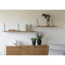 Outlet Tekokasvi Kilpipiilea, 28cm, vihreä Tekokasvit Ja Kranssit
