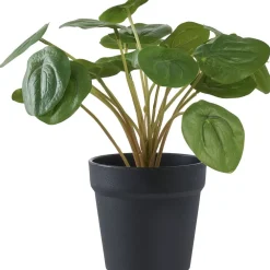 Outlet Tekokasvi Kilpipiilea, 28cm, vihreä Tekokasvit Ja Kranssit