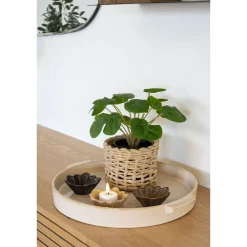 Outlet Tekokasvi Kilpipiilea, 28cm, vihreä Tekokasvit Ja Kranssit