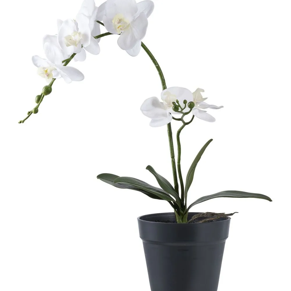 Tekokasvi Orkidea, 49cm, valkoinen/vihreä*House Nordic Clearance