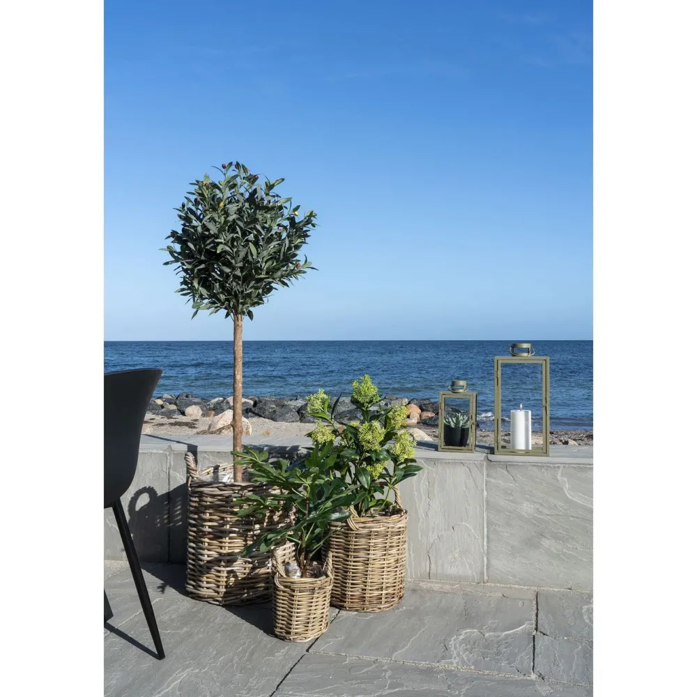 Outlet Tekokasvi Skimmia, 75cm, vihreä Tekokasvit Ja Kranssit