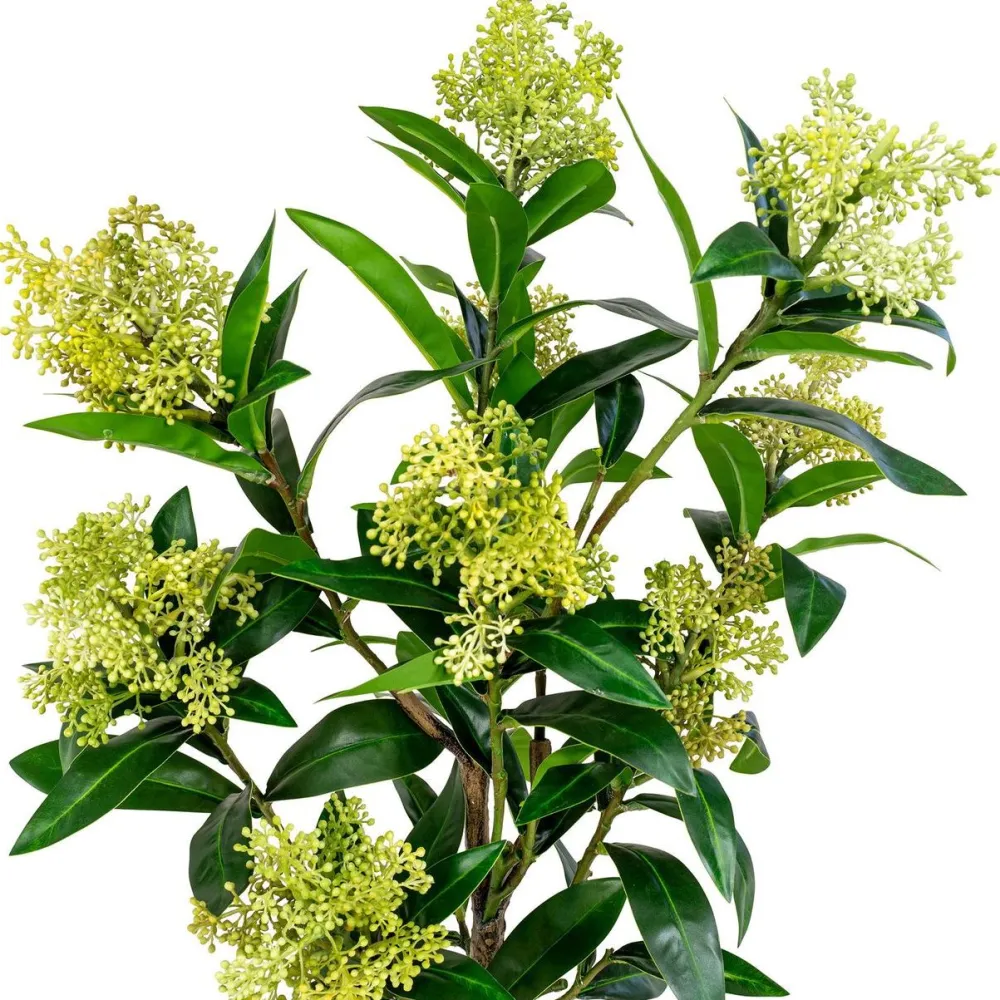 Outlet Tekokasvi Skimmia, 75cm, vihreä Tekokasvit Ja Kranssit