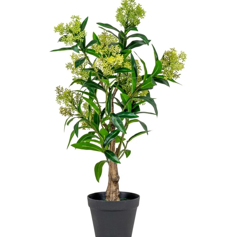 Outlet Tekokasvi Skimmia, 75cm, vihreä Tekokasvit Ja Kranssit