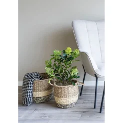 Outlet Tekokasvi Skimmia, 75cm, vihreä Tekokasvit Ja Kranssit
