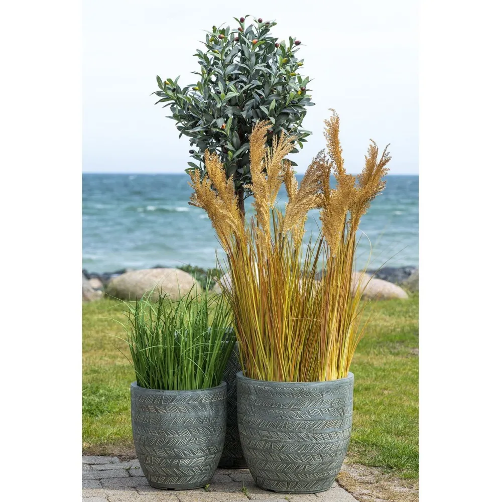 Tekokasvi Sudaninruoho Sorghum Grass, 110cm, ruskea*House Nordic Clearance