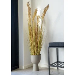 Tekokasvi Sudaninruoho Sorghum Grass, 110cm, ruskea*House Nordic Clearance