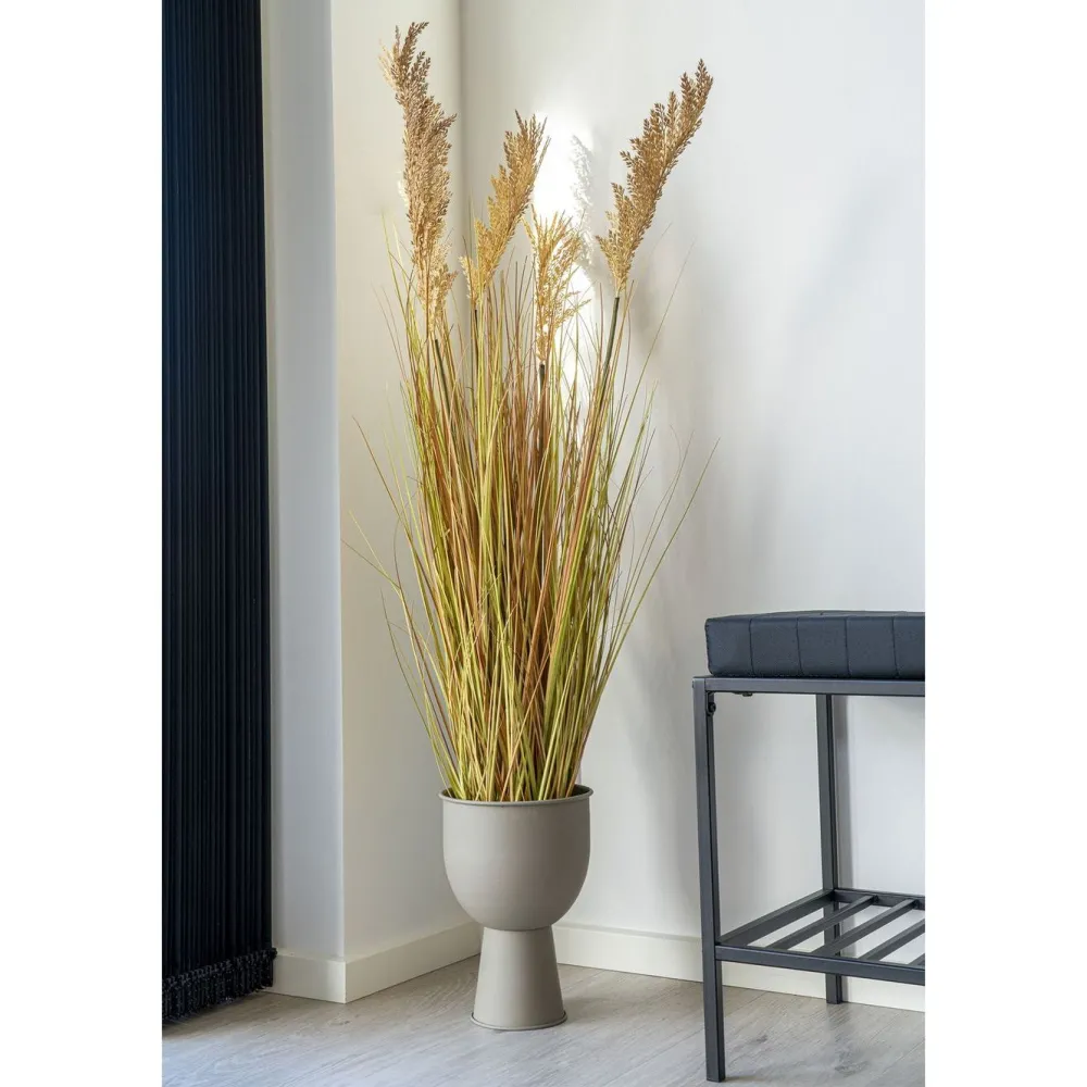 Tekokasvi Sudaninruoho Sorghum Grass, 110cm, ruskea*House Nordic Clearance