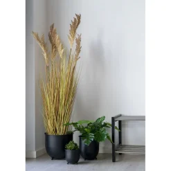 Tekokasvi Sudaninruoho Sorghum Grass, 110cm, ruskea*House Nordic Clearance