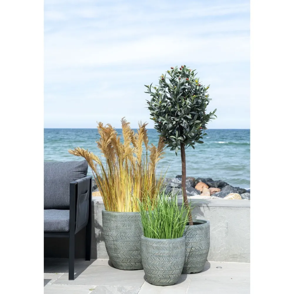 Tekokasvi Sudaninruoho Sorghum Grass, 110cm, ruskea*House Nordic Clearance