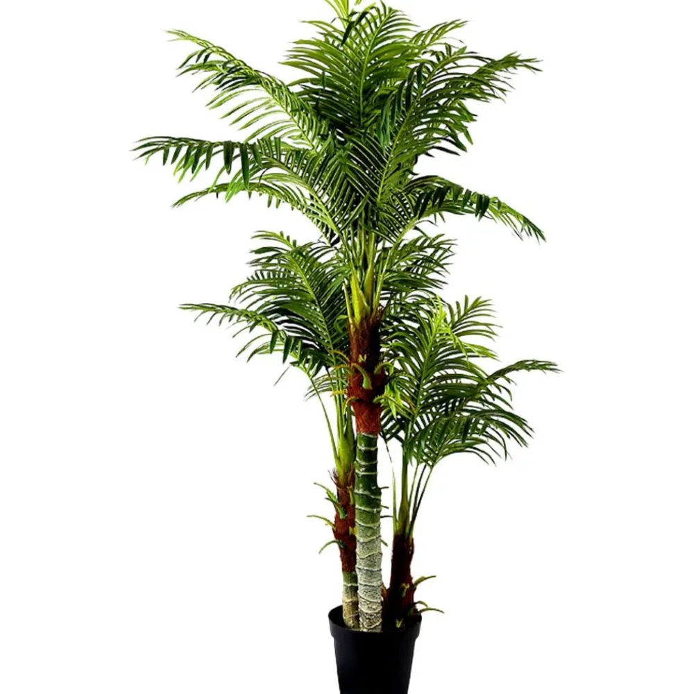 Clearance Tekokasvi Areca Palm, 180cm Tekokasvit Ja Kranssit
