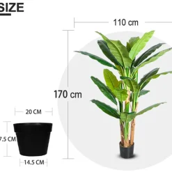 Tekokasvi Banana Tree, 170cm*Lykke Best