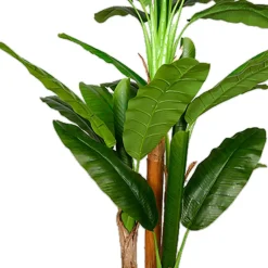 Tekokasvi Banana Tree, 170cm*Lykke Best