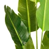 Tekokasvi Bird of Paradise, 200cm*Lykke Sale