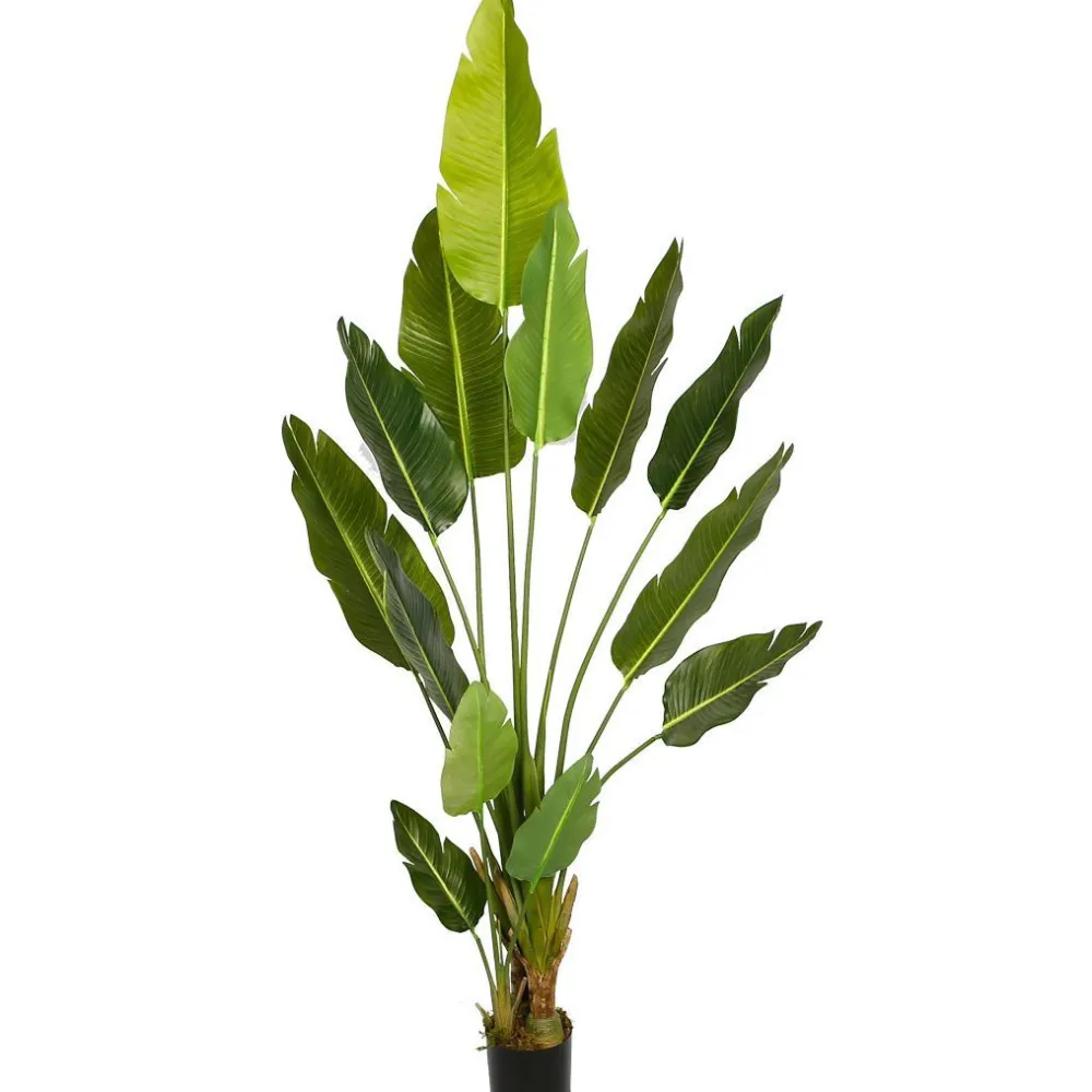 Tekokasvi Bird of Paradise, 200cm*Lykke Sale