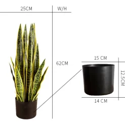 Tekokasvi Snake Plant, 65cm*Lykke Clearance