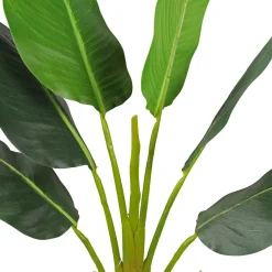 Tekokasvi Strelitzia Tree, 90cm*Lykke Discount