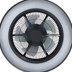 Outlet Tuuletinvalaisin Vallonia RGB/CCT LED Ø48cm kaukosäädin musta Tuuletinvalaisimet