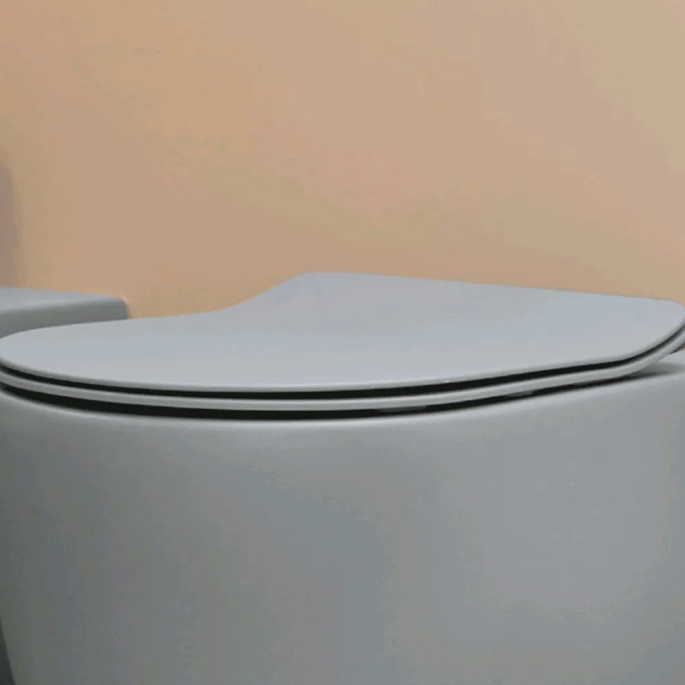 Outlet WC-istuin Glomp, back to wall, huuhtelukaulukseton, matta, eri värejä Wc-Istuimet Ilman Huuhtelukaulusta